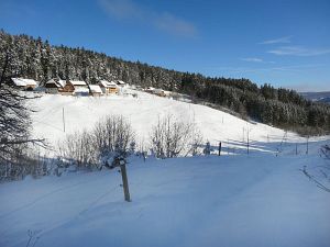 Winter an Neujahr in Tennenbronn