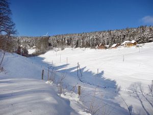 Winter an Neujahr in Tennenbronn
