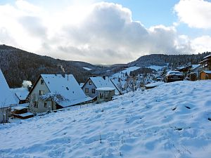 Erster Schnee
