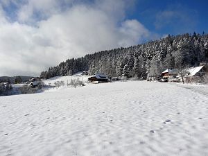 Erster Schnee Erster Schnee