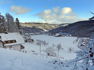 Erster Schnee