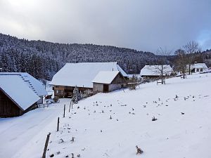 Erster Schnee