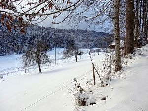 Erster Schnee