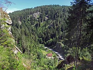 Sommerwanderung im Bernecktal