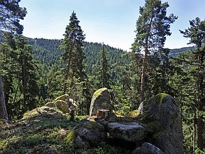 Sommerwanderung im Bernecktal