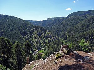 Sommerwanderung im Bernecktal