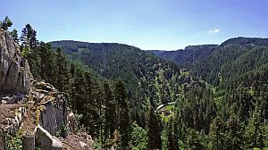 Sommerwanderung im Bernecktal