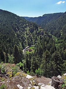 Sommerwanderung im Bernecktal