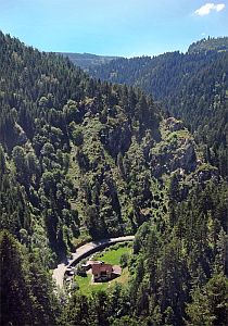 Sommerwanderung im Bernecktal