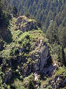 Sommerwanderung im Bernecktal