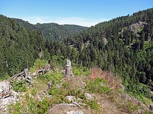 Sommerwanderung im Bernecktal
