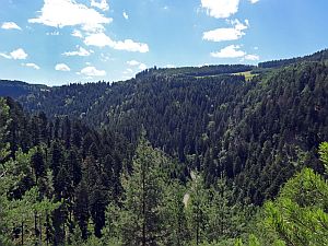 Sommerwanderung im Bernecktal