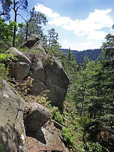Sommerwanderung im Bernecktal