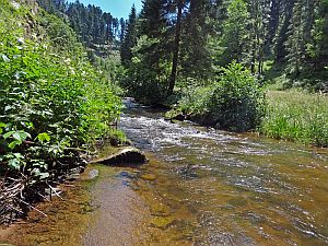 Sommerwanderung im Bernecktal