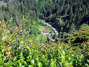 Sommerwanderung im Bernecktal
