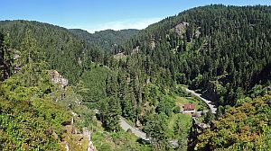 Sommerwanderung im Bernecktal