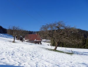 Winter am Altweiberzahn Bernecktal