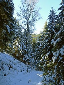 Winter am Altweiberzahn Bernecktal