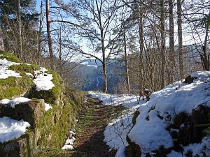 Winter am Altweiberzahn Bernecktal
