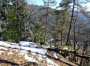 Winter am Altweiberzahn Bernecktal