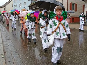 Fasnetumzug Tennenbronn