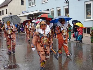 Fasnetumzug Tennenbronn