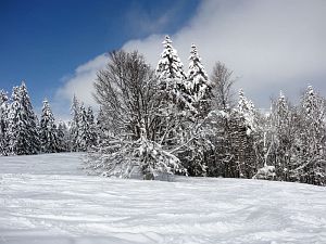 Skifahren am Feldberg