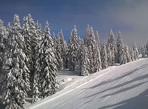 Skifahren am Feldberg