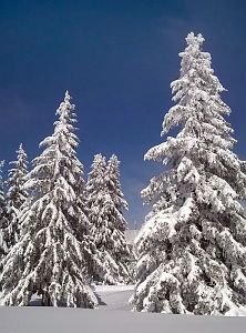 Skifahren am Feldberg