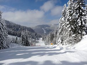 Skifahren am Feldberg