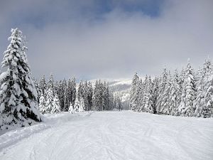 Skifahren am Feldberg