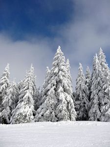 Skifahren am Feldberg