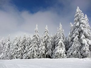 Skifahren am Feldberg