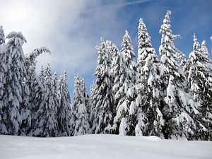 Skifahren am Feldberg