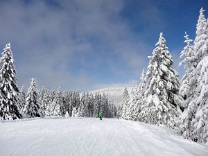 Skifahren am Feldberg