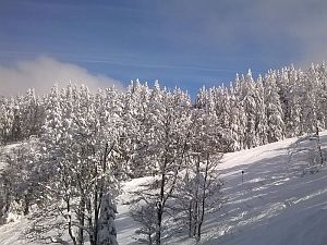 Skifahren am Feldberg