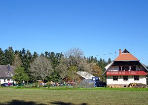 Himmelfahrt Gottesdienst im Grünen 