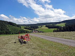 Heibet Heuernte Tennenbronn
