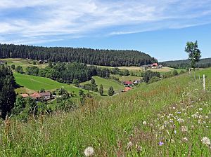 Heibet Heuernte Tennenbronn