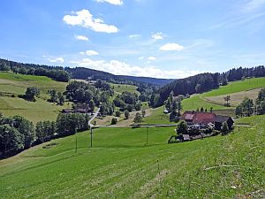 Heibet Heuernte Tennenbronn