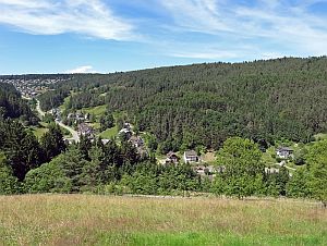 Heibet Heuernte Tennenbronn