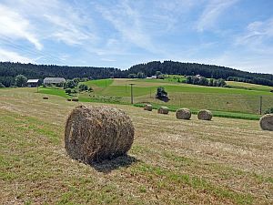 Heibet Heuernte Tennenbronn