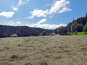 Heibet Heuernte Tennenbronn