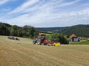 Heibet Heuernte Tennenbronn