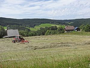 Heibet Heuernte Tennenbronn