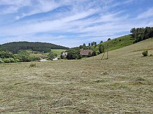 Heibet Heuernte Tennenbronn