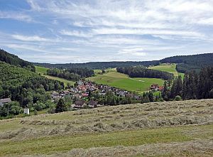Heibet Heuernte Tennenbronn