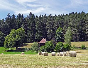 Heibet Heuernte Tennenbronn