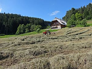 Heibet Heuernte Tennenbronn