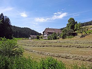 Heibet Heuernte Tennenbronn